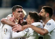 开云APP-波兰客场征服瑞典，成功晋级欧洲杯的简单介绍