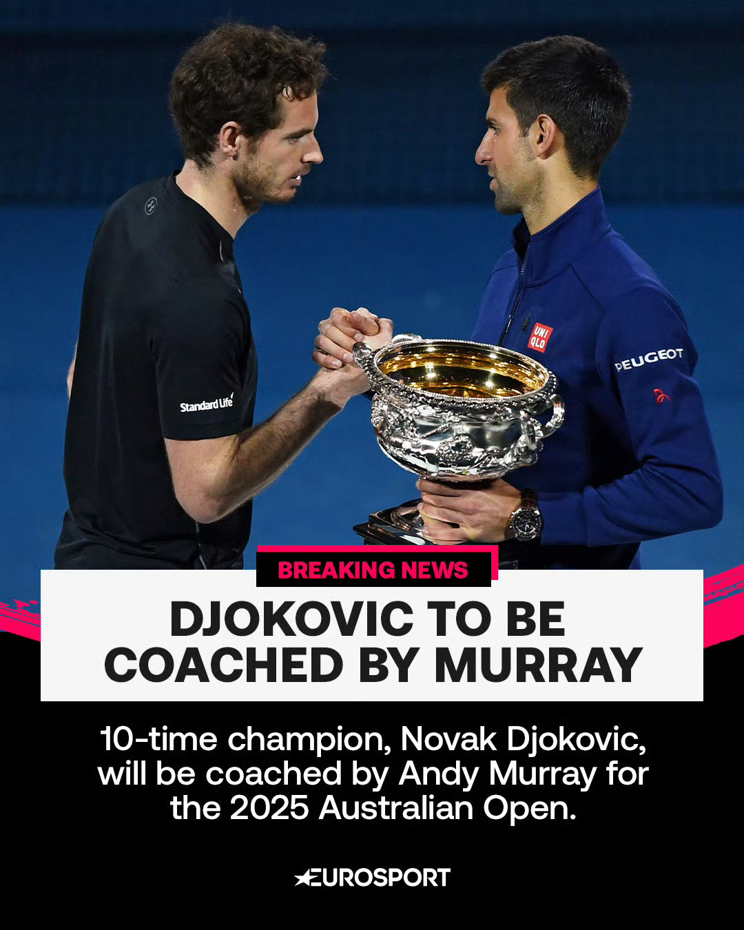 日本网球队血洗西班牙网球队,穆雷送出助攻的简单介绍 日本网球队血洗西班牙网球队,穆雷送出助攻的简单介绍