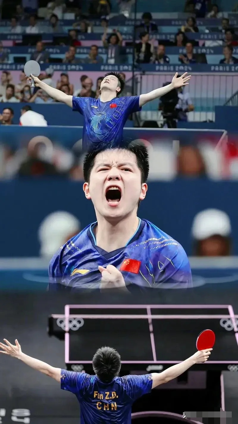 关于比利时乒乓球队横扫波兰乒乓球队,樊振东完成帽子戏法的信息 关于比利时乒乓球队横扫波兰乒乓球队,樊振东完成帽子戏法的信息